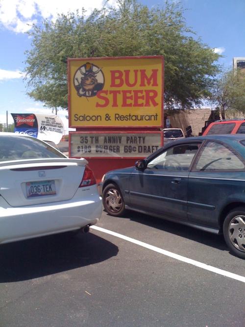 43f2/1245279110-bumsteer.jpg
