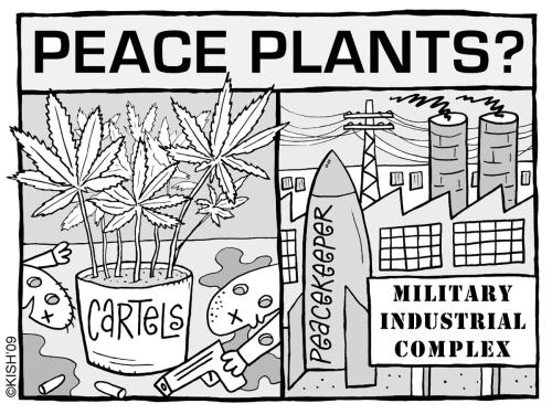peaceplants-TW.jpg