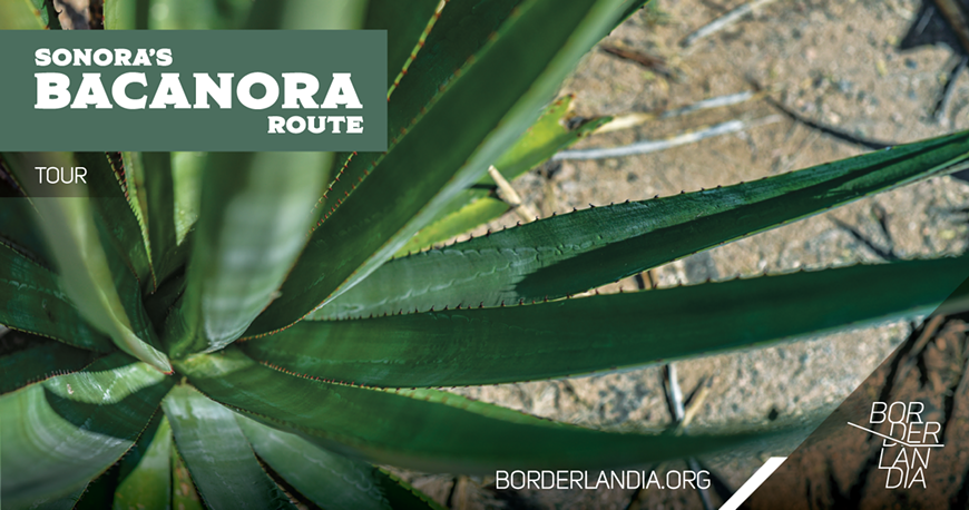 banners-fb-bacanora-04.png