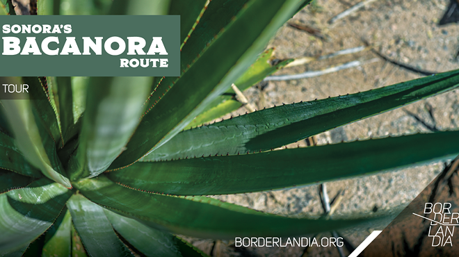 Image: Sonora's Bacanora Route Tour