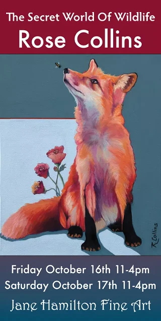 Image: The Secret World Of Wildlife