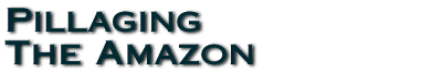 Pillaging The Amazon