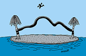 Mueller