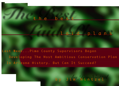 The Best-Laid Plans...