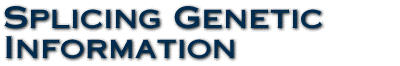 Splicing Genetic Information