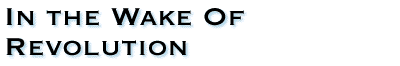 In The Wake Of Revolution