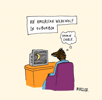 Mueller