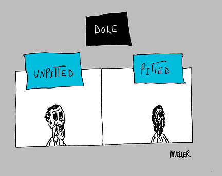 Mueller
