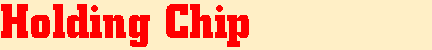Holding Chip