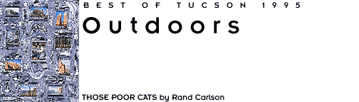 Outdoors